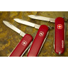 Нож-брелок Victorinox Mini Champ 0.6386 Signature Lite